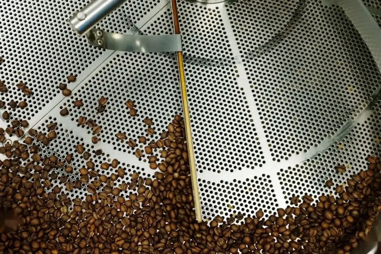 Barista w kawiarni parzy kawę z Kawa Strefa